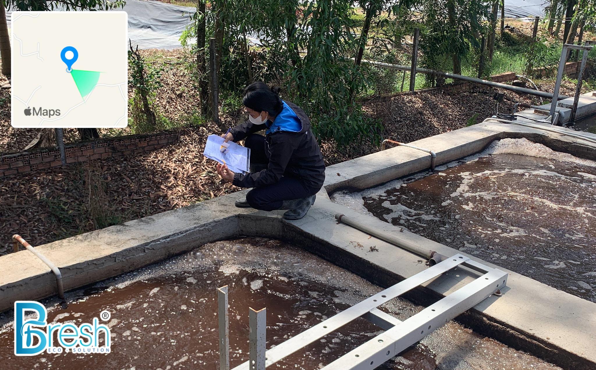 Aerobic wastewater treatment