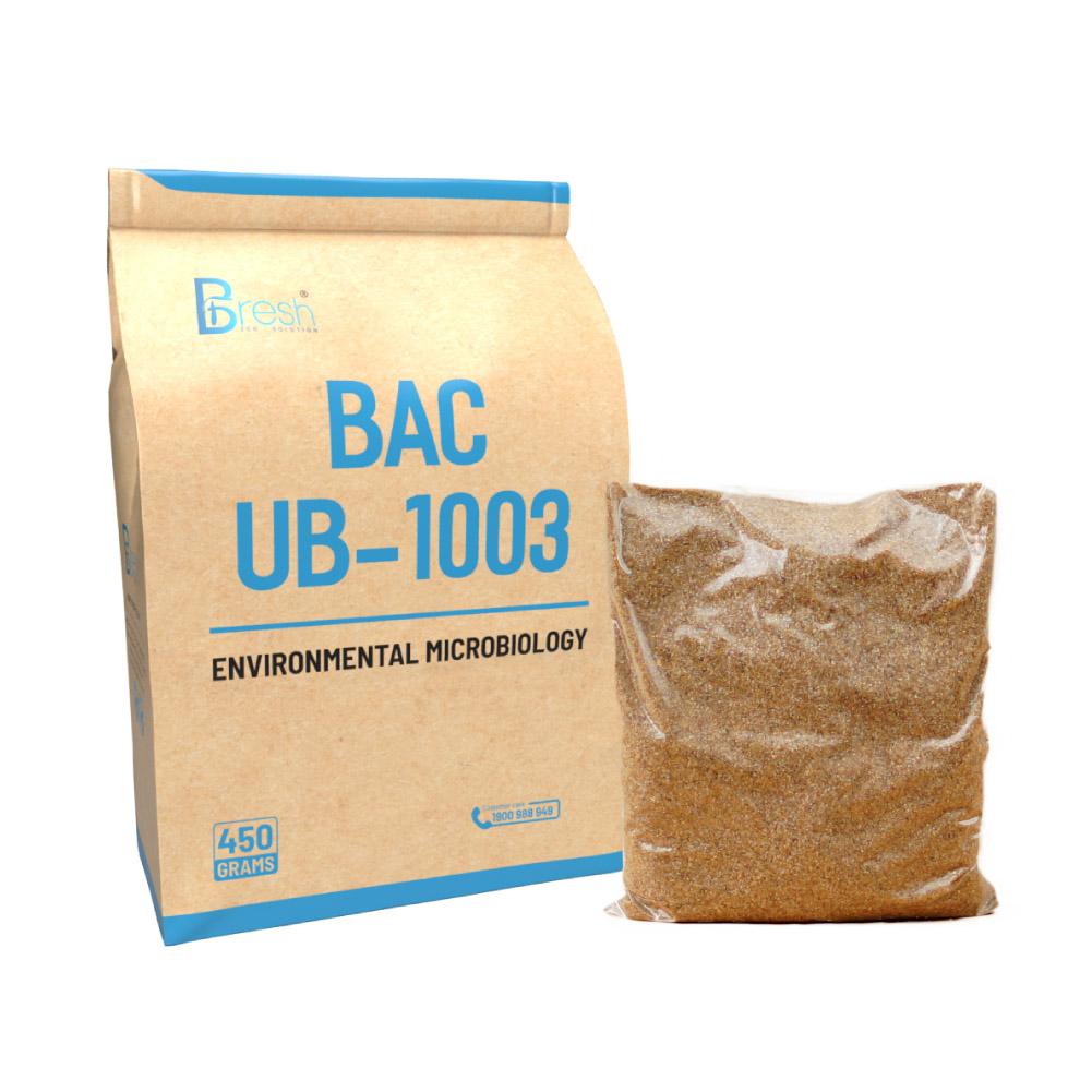 MICROBIOLOGICAL PREPARATION FOR AEROBASTIC TREATMENT BAC UB-1003