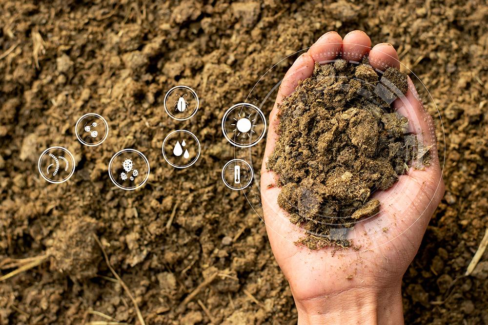 Composting