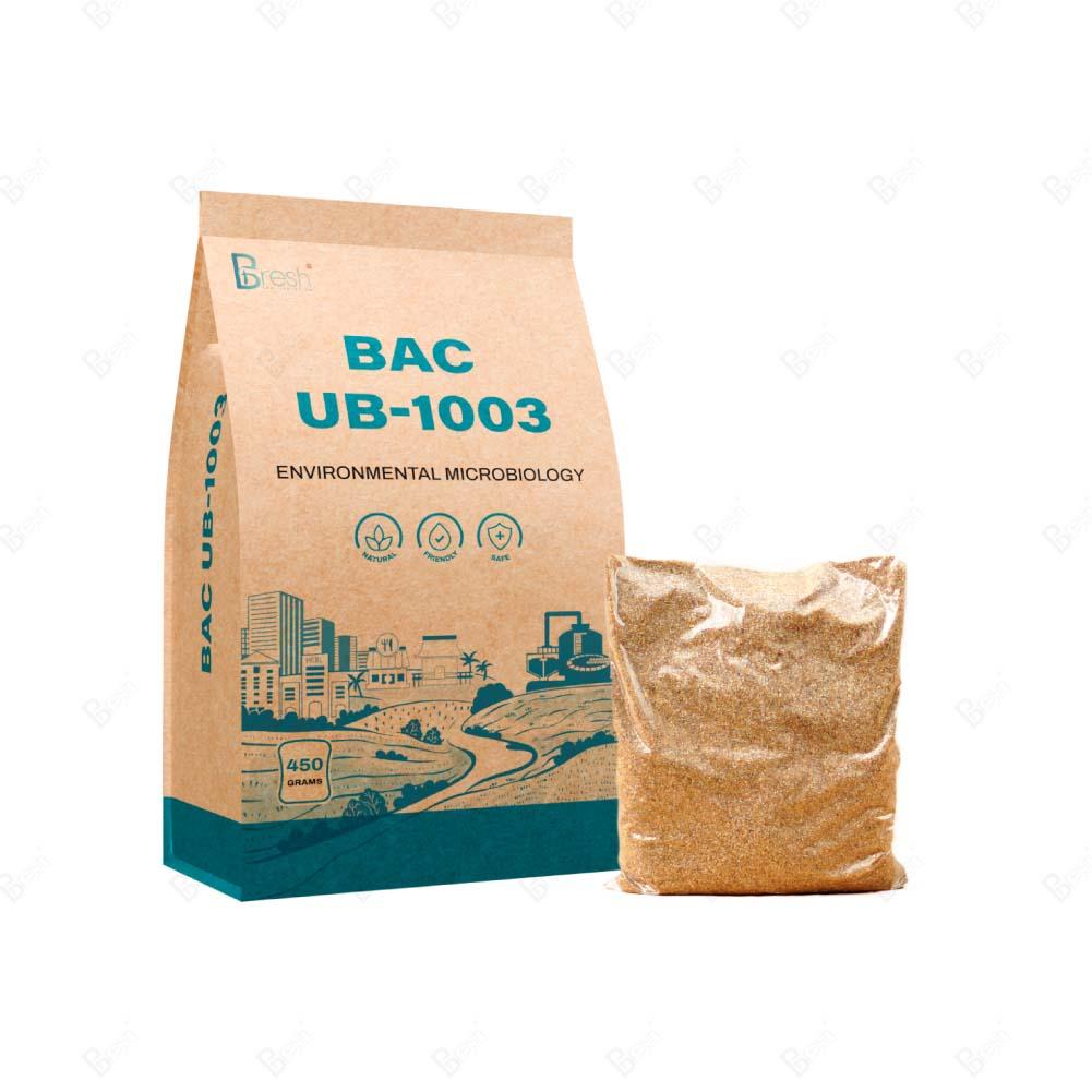 MICROBIOLOGICAL PREPARATION FOR AEROBASTIC TREATMENT BAC UB-1003