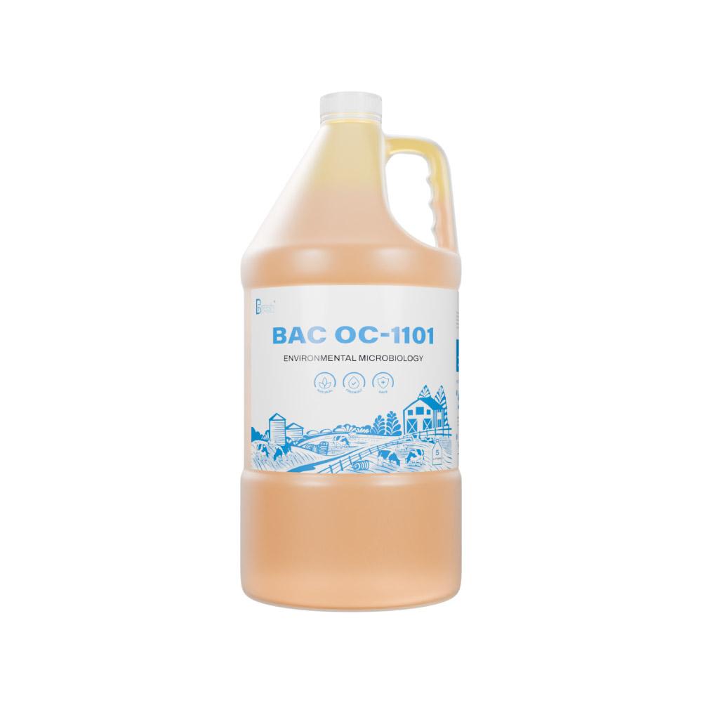 MICROBIOLOGICAL PREPARATION FOR TREATMENT OF ODORS BAC OC-1101