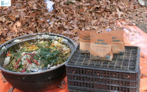 Thiết kế chưa có tên (5)