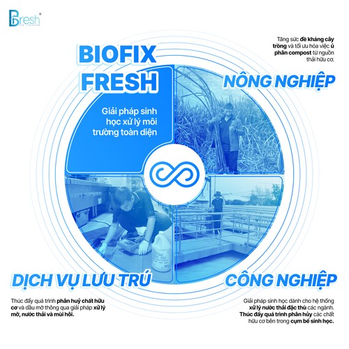 BFresh - Ảnh web 1